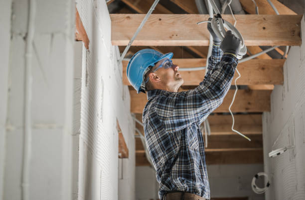 Best Ceiling Fan Installation Electrician  in Baraga, MI