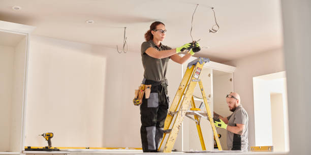 Best Home Electrical Repair  in Baraga, MI
