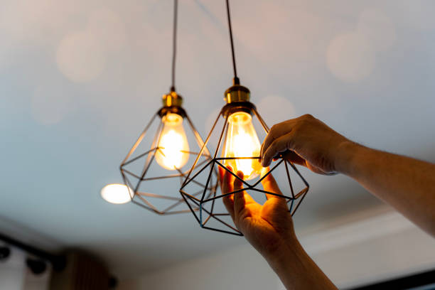 Best Circuit Breaker Repair  in Baraga, MI