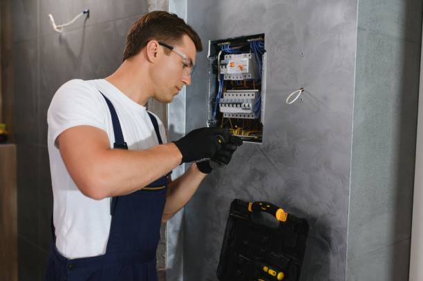 Best Electric Panel Repair  in Baraga, MI