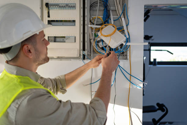 Best Electrical System Inspection  in Baraga, MI