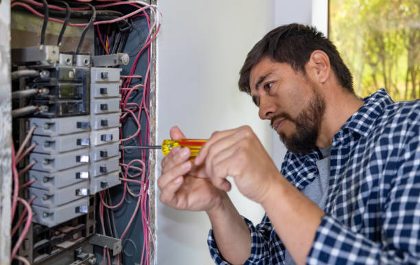 Best Residential Electrician Services  in Baraga, MI